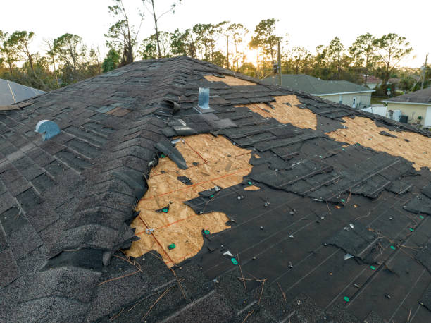Best Roof Maintenance and Cleaning  in Federal Heights, CO
