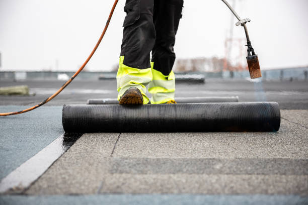 Best Gutter Installation and Repair  in Federal Heights, CO